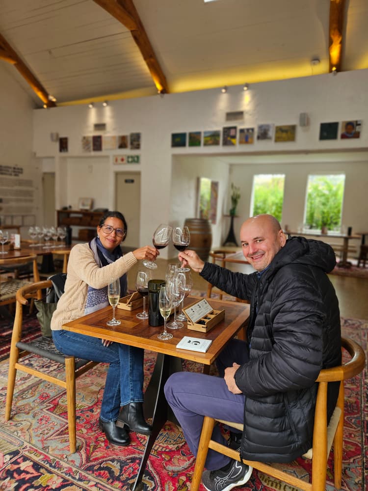 A preview image of the Wine Tasting in Constantia tour.